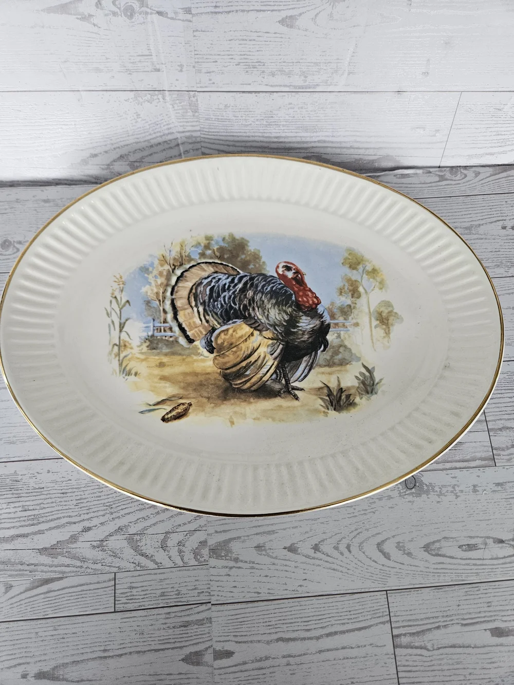 Homer Laughlin this vintage